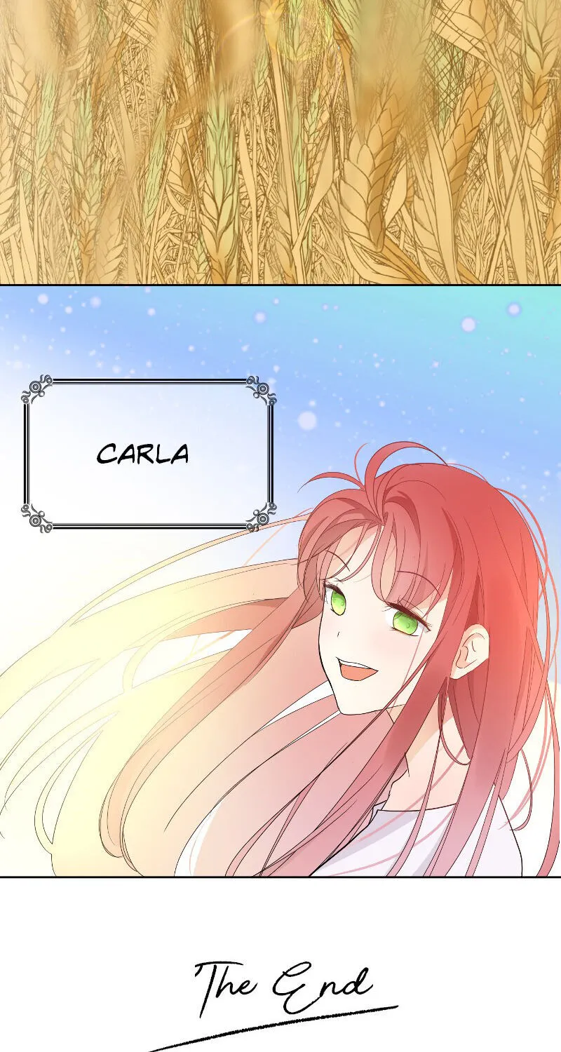 Chapter 2 — page 24