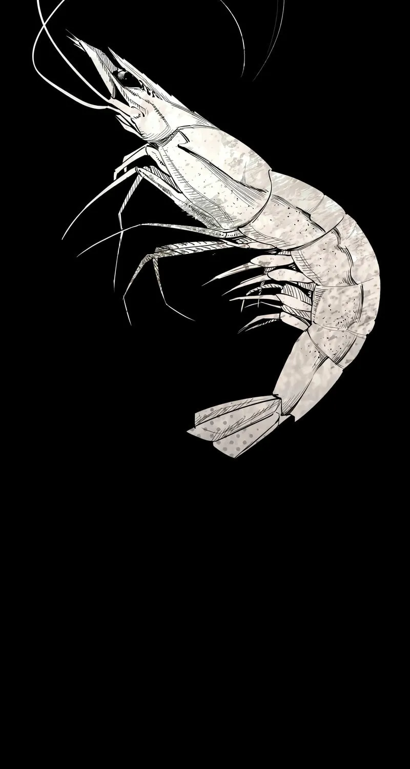 Chapter 9 — page 2
