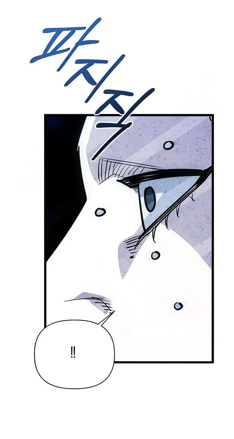 Chapter 13 — page 106