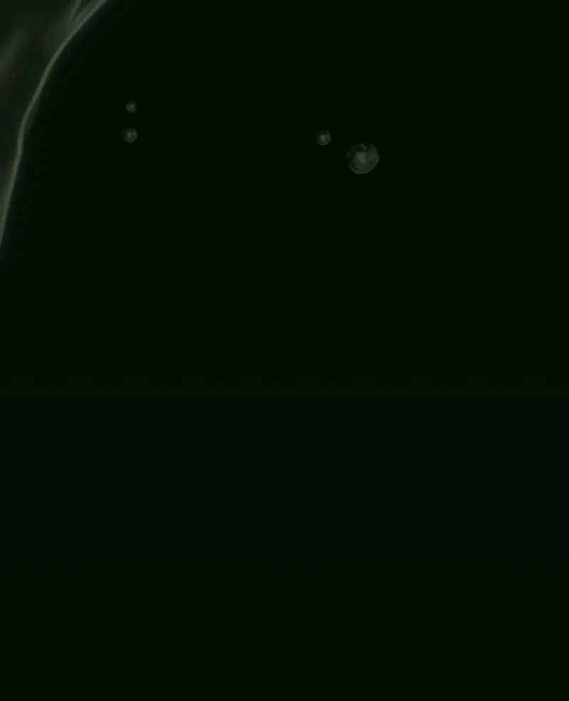 Chapter 14 — page 80