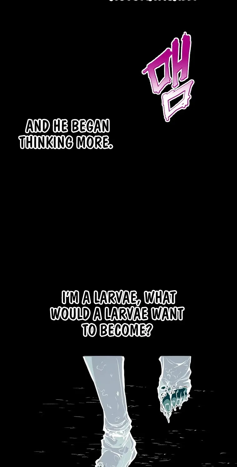 Chapter 17 — page 74
