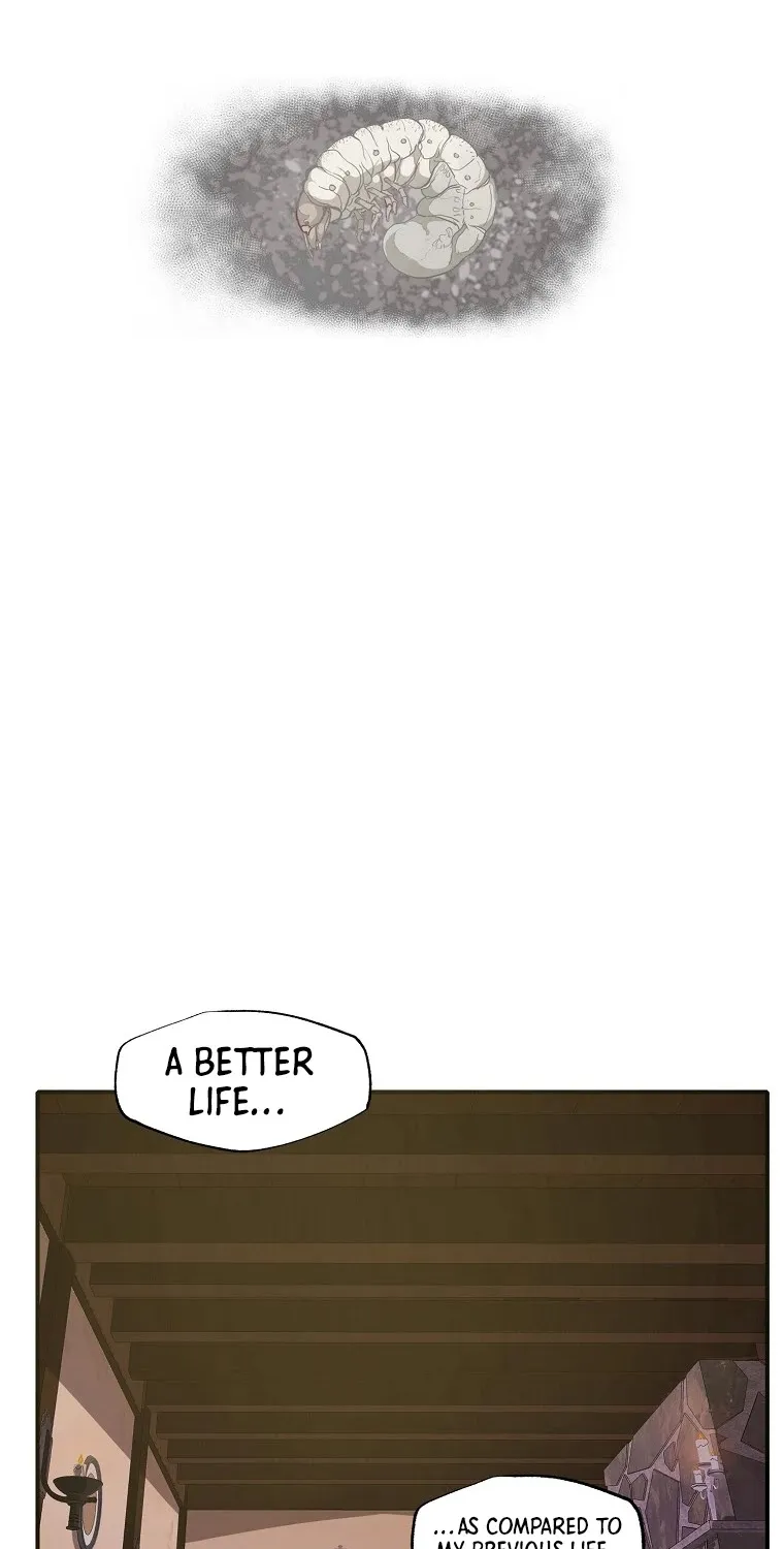 Chapter 7 — page 62