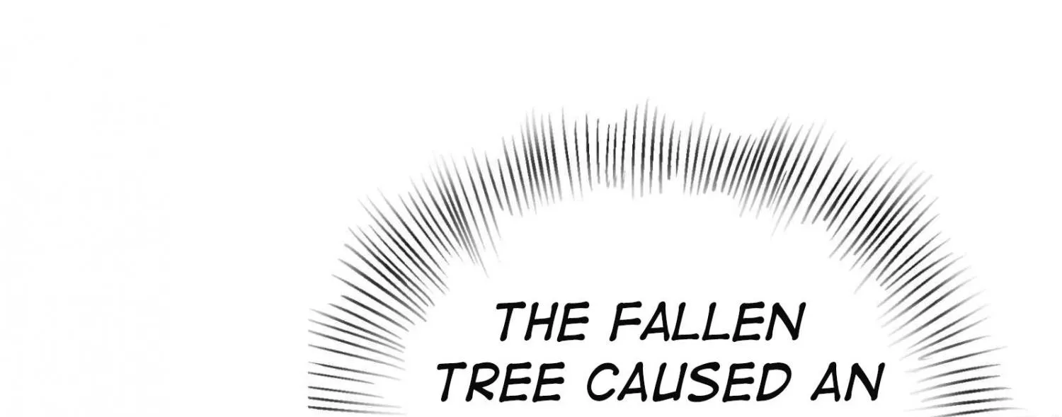 Chapter 37 — page 51