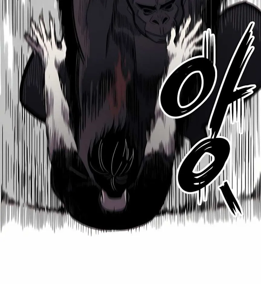 Chapter 3 — page 66